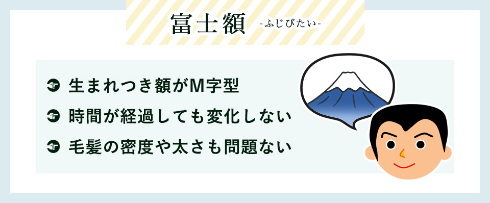 富士額とは特徴まとめ