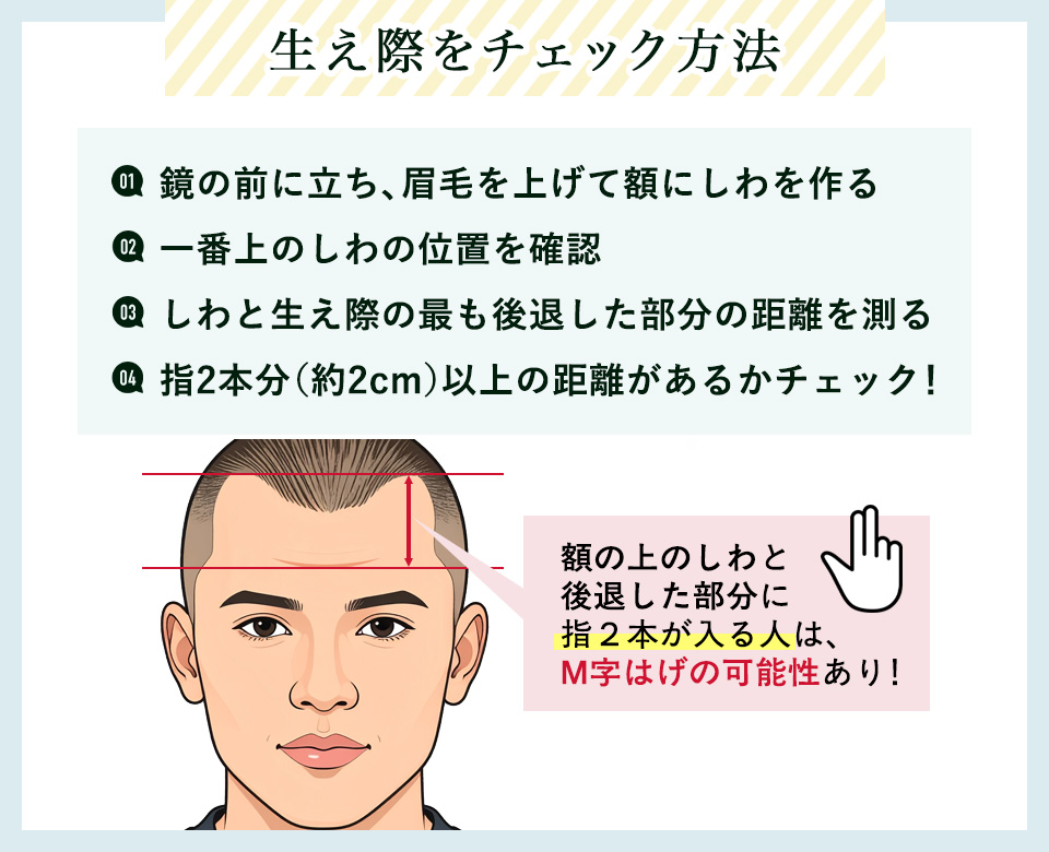 生え際チェック方法の図説