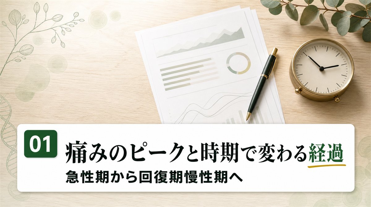椎間板ヘルニアの痛みのピークと時期で変わる経過を示す資料
