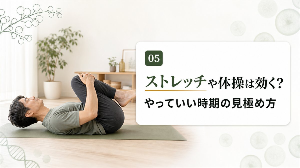 椎間板ヘルニアにストレッチや体操は効く？やっていい時期