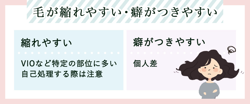 毛が縮れやすい・癖がつきやすい特徴