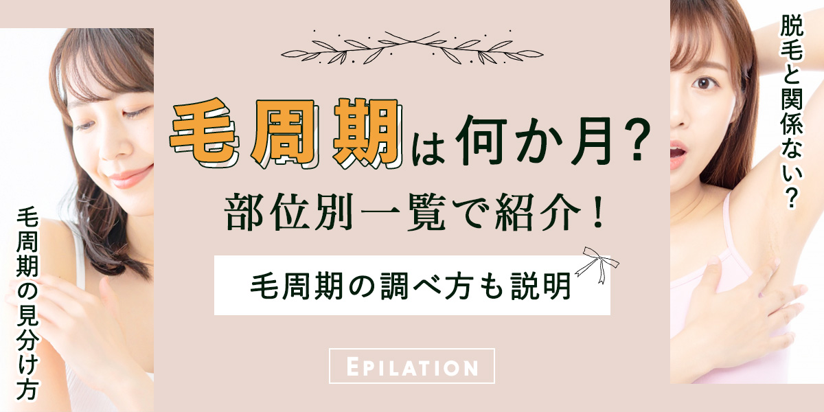 毛周期は何か月か部位別一覧で紹介!脱毛と関係ない?毛周期の調べ方もわかりやすく説明