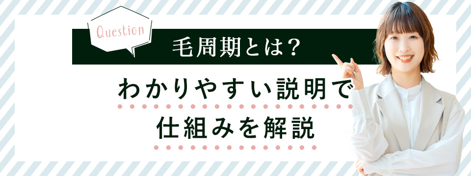 毛周期の仕組みを解説