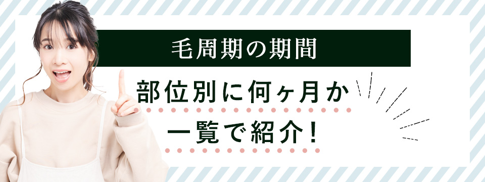 毛周期の期間を解説