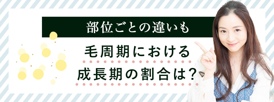 毛周期の成長期の割合を部位別に紹介