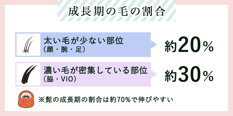 毛の成長期の割合