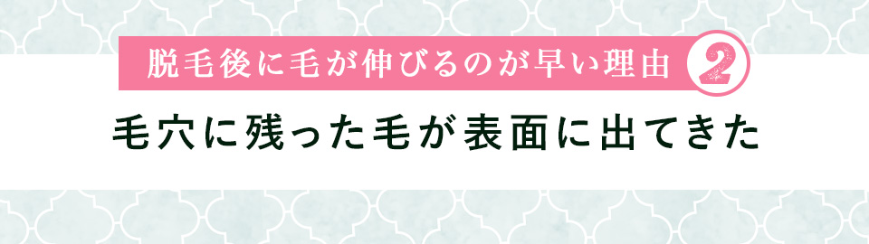 脱毛後に毛が伸びるのが早い理由②毛穴に残った毛が表面に出てきた