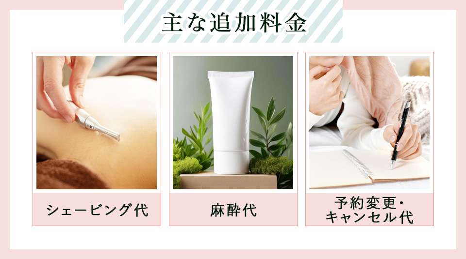 主な追加費用