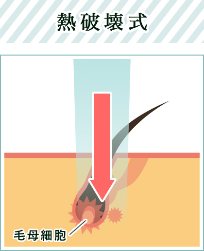 熱破壊式
