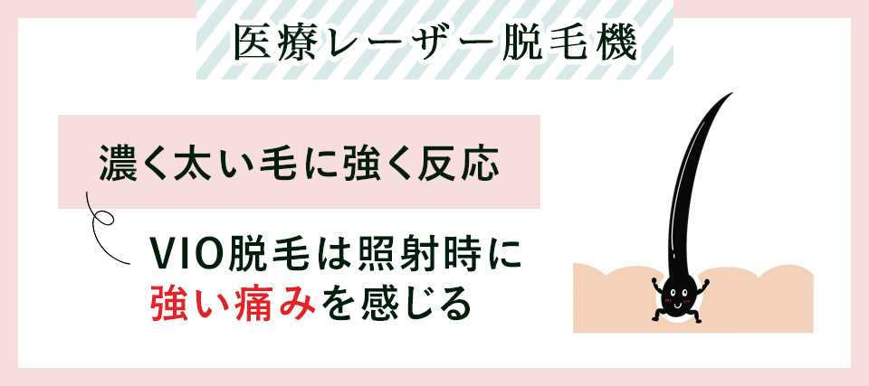 医療レーザー脱毛機は太く濃い毛に反応する