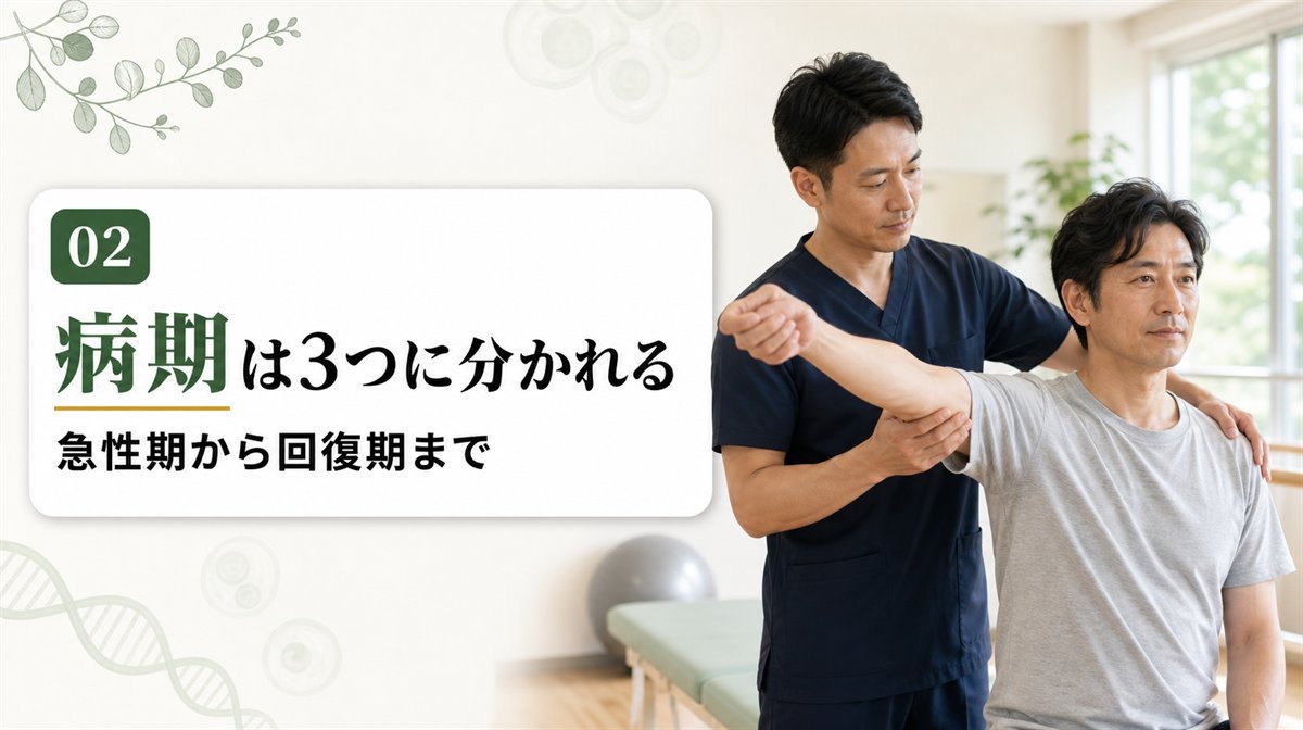 五十肩の急性期・拘縮期・回復期の経過イメージ