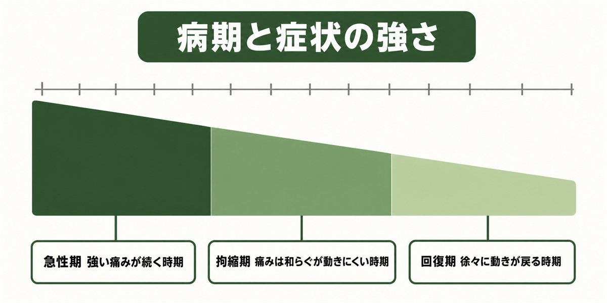 五十肩の急性期・拘縮期・回復期ごとの症状の強さを示すゲージ図