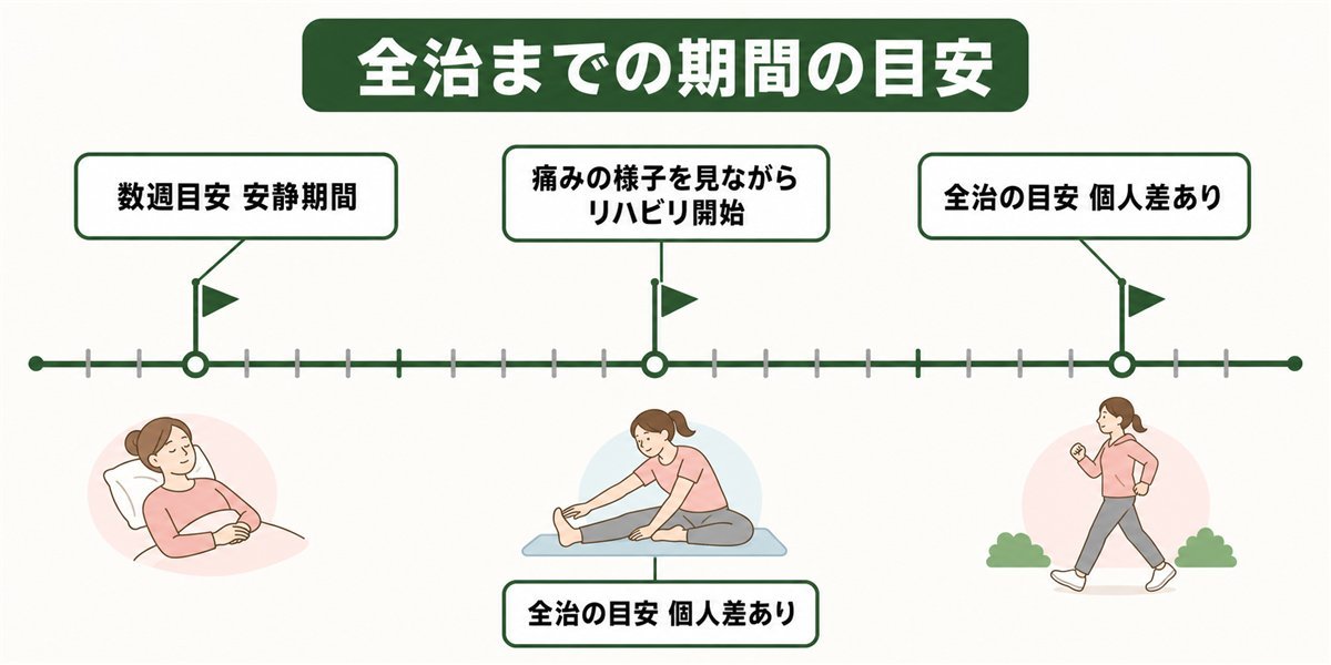 半月板損傷が全治するまでの期間の目安を示す図解