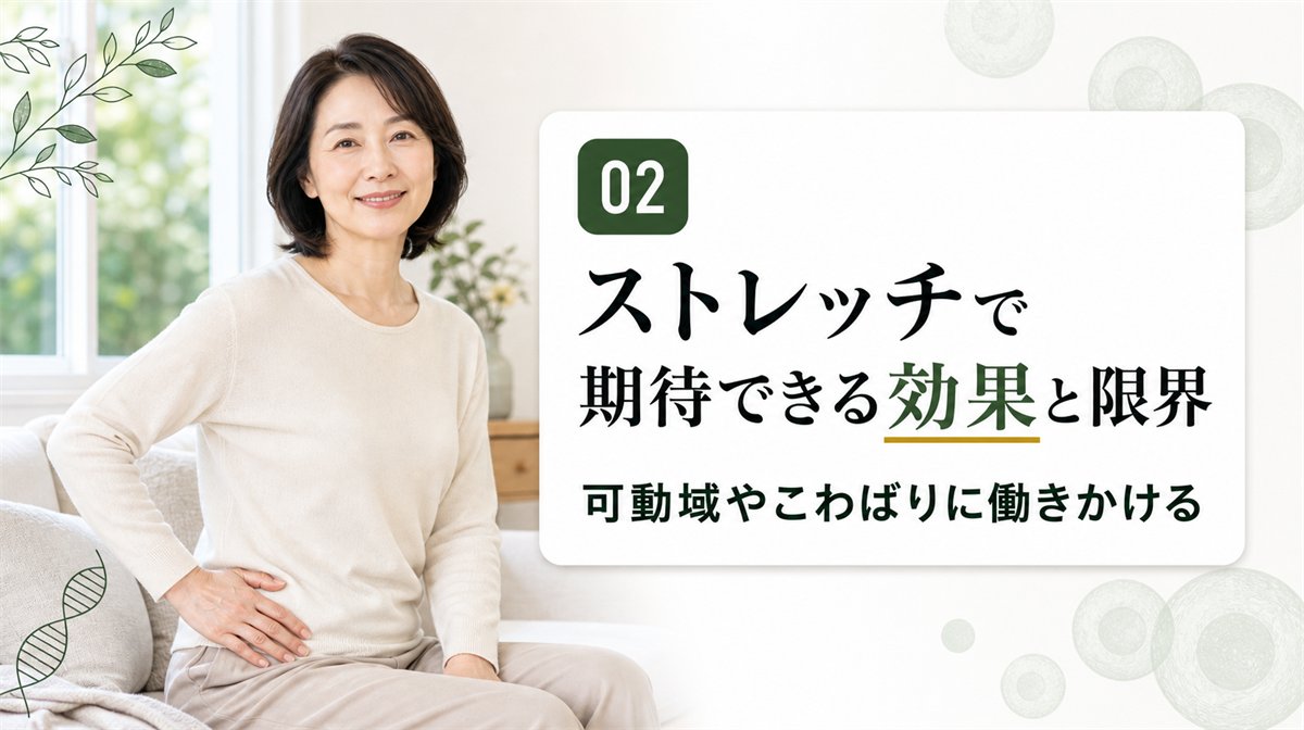 ストレッチで期待できる効果と限界のイメージ
