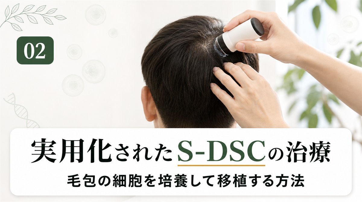 毛髪再生医療のうち実用化されたS-DSC(毛球部毛根鞘細胞)の治療とは？