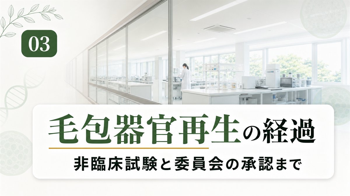 毛髪再生医療の毛包器官再生を国内の研究機関と企業が進めてきた経過