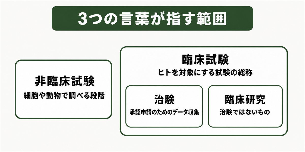 毛髪再生医療の治験と臨床試験と非臨床試験が指す範囲の図