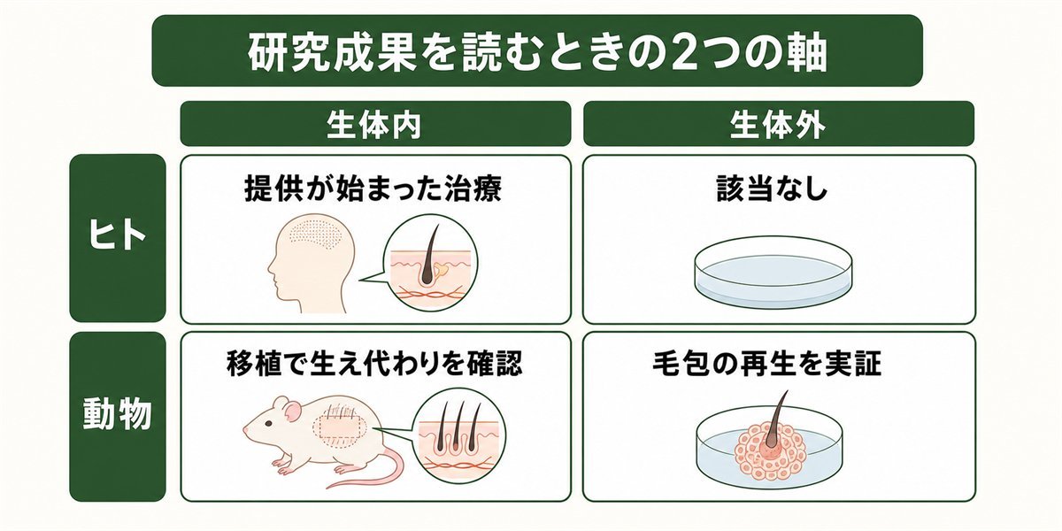 毛髪再生医療の研究成果を読むときの対象と場所の2つの軸を示した図