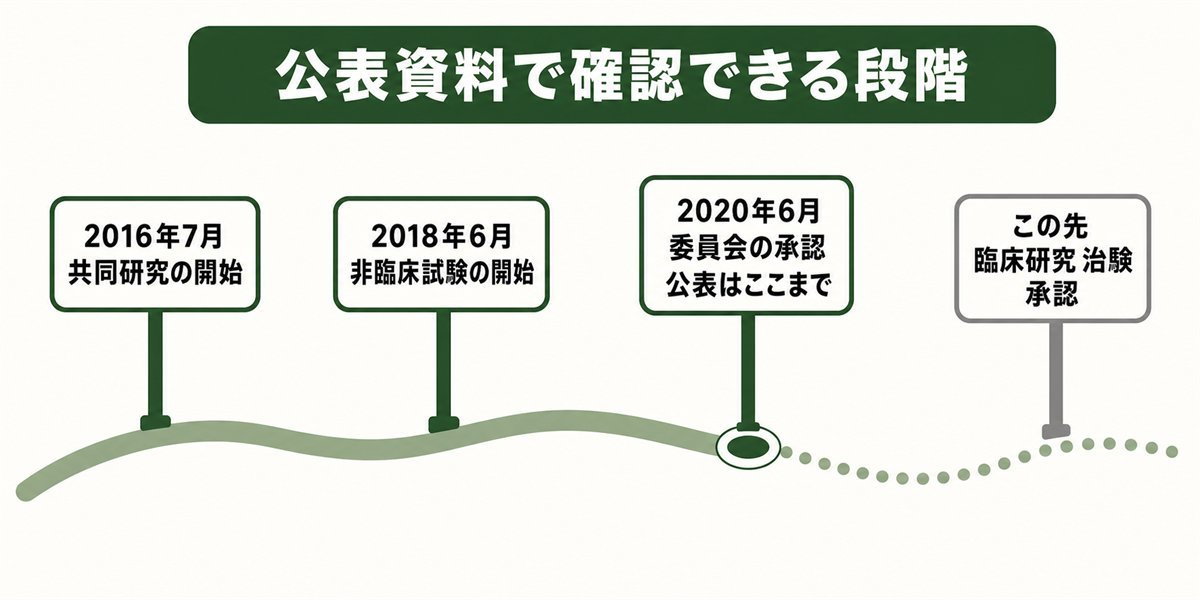 毛髪再生医療の毛包器官再生で公表資料から確認できる段階を示した図