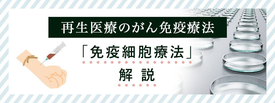 再生医療の免疫細胞療法について