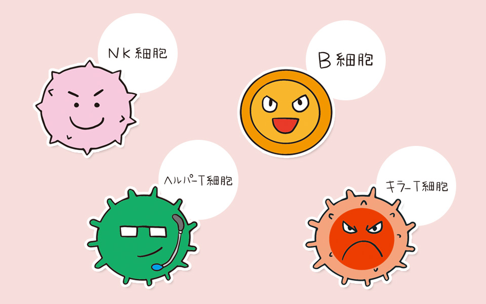 免疫細胞一覧