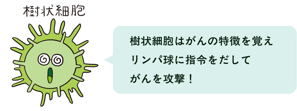 樹状細胞のイメージ