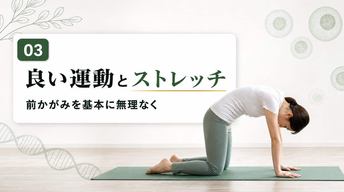 脊柱管狭窄症に良い運動・ストレッチとリハビリの考え方