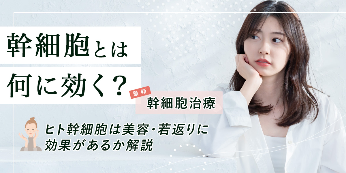 幹細胞とは何に効く？最新の幹細胞治療やヒト幹細胞は美容・若返りに効果があるか解説