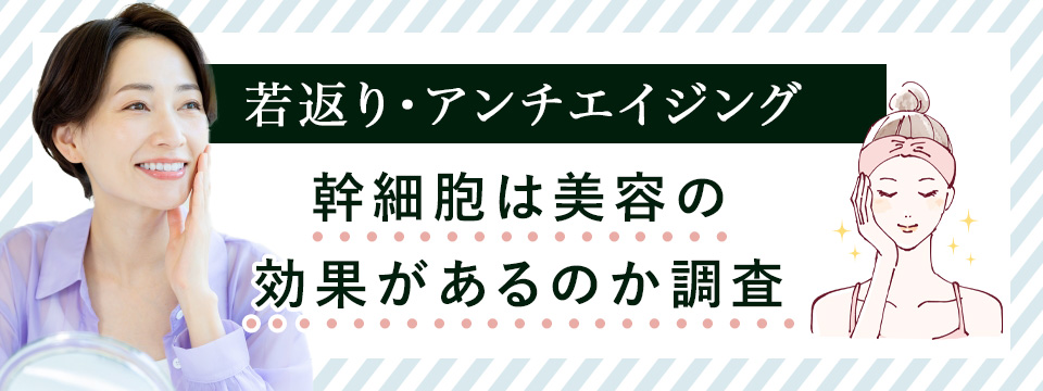 幹細胞の美容効果について