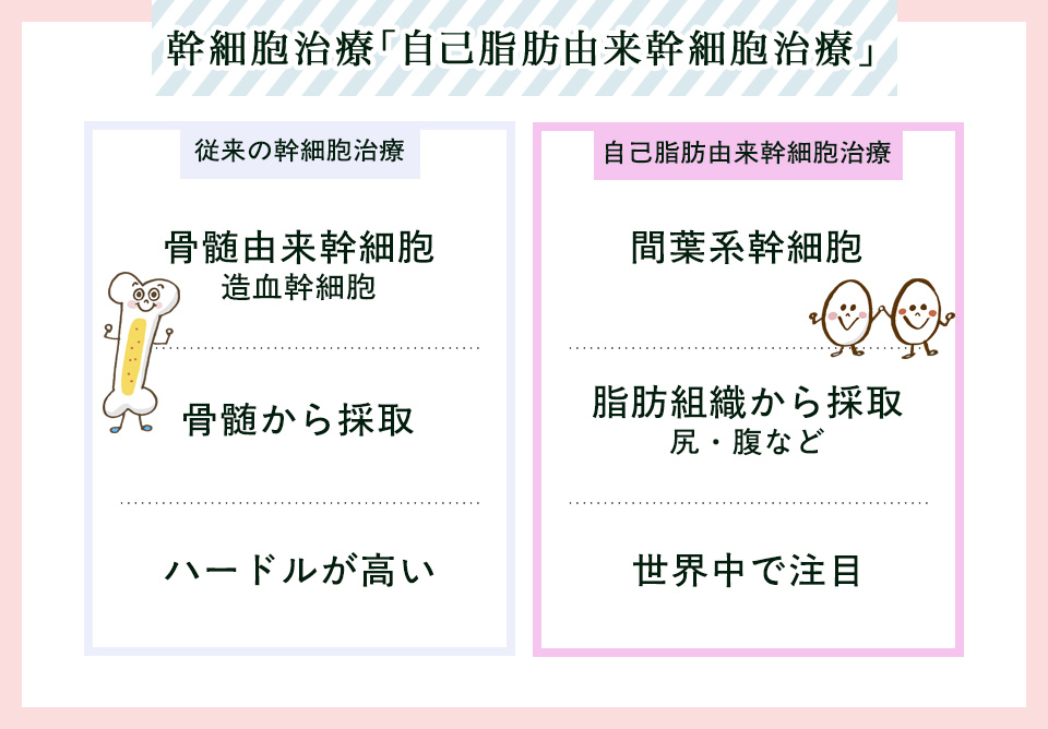 従来の幹細胞治療と自己脂肪由来幹細胞治療の特徴まとめ
